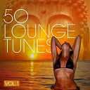 Allstate51 / Andrea Braghin / Andrea Piscitelli / Be Quiet / Dj Pulse / Doubleface / Edosax / Enrico Tomat / Fabrizio Martini / Francesco Caruso / Francesco Demegni / Gabrielle Chiararo / Giacomo Bondi / Giloya / Giusy Ferreri / Gi&ograve; Maxx / Gotan Project / High Time / Horanueva / Ipanema Sunset / Jay D. R. / Luca Brunetti / Makkeroni / Marianna Cataldi / Massimo Fara&ograve; / Merlino / Mo'blanco / Nemax / Nuevos Aires / Smoma / St. Project / Taff / The Apple Pies / Thelonious Monk / Vincenzo Ricca - 50 lounge tunes, vol. 1