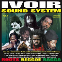 Adjam Tala Rockers / Asney / Bamba Yang / Beta Simon / Fadal Dey / Jonze / Madou Djembe / Marc Lenoir / N'zela / Negromuffin / Pablo Master / Pablo Uwa / Phil Tanoh / Sana Bob / Zoanet Comes - Ivoir sound system, vol. 2