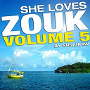 Abege / Aycee Jordan / Jocelyn Deloumeaux / Kaysha / Kenedy / Loony Johnson / Lorenz / Mika Mendes / Mrshada / Shana Kihal / Vanda May - She loves zouk, vol. 5