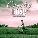 Chet Atkins / Cowboy Copas / Don Gibson / Ernest Tubb / Ferlin Husky / Gene Autry / Hank Snow / Hank Thomson / Hank Williams / Hardrock Gunter / Jim Reeves / Lefty Frizzle / Merle Travis / Patsy Montana / Ray Price / Tex Williams - Country road, vol. 6 (history of country music)