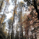 Panda Su - I begin