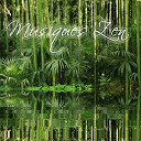 Albion / Dragon Fly / Feeraz / Jasmine / Magic Sound / Naguila / Punjab Orchestra / Salama / Sensidema / Terra - Musiques zen