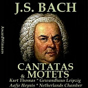 Aafje Heynis / Agnes Giebel / Gewandhausorchester Leipzig / Hans Joachim Rotzsch / Hermann Prey / Marga H&ouml;ffgen / Simon C. Jansen / Thomanerchor Leipzig / Thomas Kurt / Th&eacute;o Adam - Bach, vol. 06 - cantatas & motets