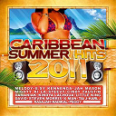 Cindy Faustin / Damaniak / David / E.sy Kennenga / Jah Mason / Karl J / Kindya Lachoua / Little King / Man X / Melody / Mighty Killa / Radikal / Rasajah / Steevy / Steven Morris / Ta&iuml; J - Caribbean summer hits 2011