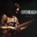 Joep Pelt - Stick it in