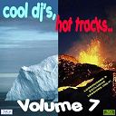 Alex Fakey / Carmen Glenn / Jason / Lisa / Maximus Vs Banks / Mc Mighty Mike / Open Position / Ritmo Intacto / Silverblue / Sticks / Syntone / The Dawn / Tori / Traffic - Cool dj's, hot tracks - vol. 7