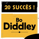 Bo Diddley - 20 succ&egrave;s