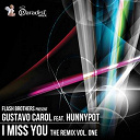 Flash Brothers / Gustavo Carol - I miss you (feat. hunnypot) (the remixes, vol. 1)
