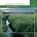 Laurent Dury - Chlorophylle ii coolness of dawn