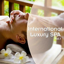 Aur&eacute;lien Baguerre / Ayuthya / Bruno Philip / Dominique Langham / Jean-Pierre Limborg / J&eacute;r&ocirc;me Hameau / Michel Goubin / Philippe Bestion / Sylvain Poge / Vincent Baguerre / Vincent Bruley - International luxury spa, vol. 1