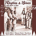 Albina Jones / Amos Milburn / Babs Gonzales / Blue Lu Baker / Bumps Blackwell / Hawkshaw Hawkins / Her Boyfriends / His Prestonians / Ivory Joe Hunter / Jimmy Preston / Julia Lee / Little Esther / Muddy Waters / Roy Brown / Saul Williams / Sister Rosetta Tharpe / Varetta Dillard / Willie Littlefield / Wynonie Harris - Rhythm & blues goes rock & roll, vol. 28