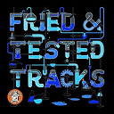 Birdee / Botnek / Dj Pierre / Frogs In Socks / Kick-Oh / Marascia / Nt89 / Panton, Cyron B / The Eleven / Timo Garcia - Fried & tested tracks, vol. 2