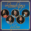 The Beach Boys - 15 big ones (2000 - remaster)