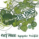 The Vines - Get free (karaoke version)