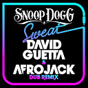 Snoop Dogg - Sweat (david guetta & afrojack) (dubstep remix)