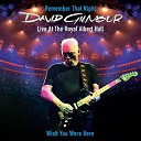 David Gilmour - Wish you were here