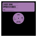 Chiddy Bang - Opposite of adults ep