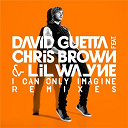 David Guetta - I can only imagine (feat.chris brown and lil wayne)