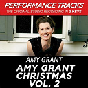 Amy Grant - Amy grant christmas vol. 2 (performance tracks)