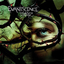 Evanescence - Anywhere but home (live)