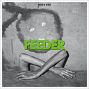 Feeder - Borders