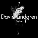 David Lindgren - Skyline (acoustic version)