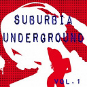 Afrikaner / Desaparecidos / Dj Roman Tomashek / Frankie Gada / Kando Dj / Lanfranchi / Philippe Moreau / Raf Marchesini / Raf Marchesini Vs Poweredmilk / Robbie Rivera / Saint Martin - Suburbia underground vol.1